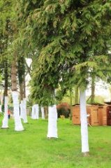 Et aussi 61 * 5184 x 3456 * (9.82MB)